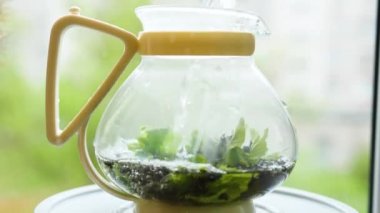 Frenk üzümü yapraklarıyla çay demlemek, limon merhemi, nane, ahududu ve cam çaydanlık. Dışarıda çay partisi.