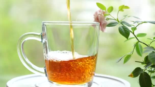 Giet de thee met blaadjes bessen, citroenbalsem, munt, frambozen in een glazen beker.Theekransje buiten — Stockvideo