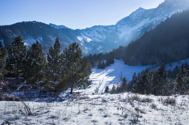 Alpler, dağ, Gress en vercors, Fransa