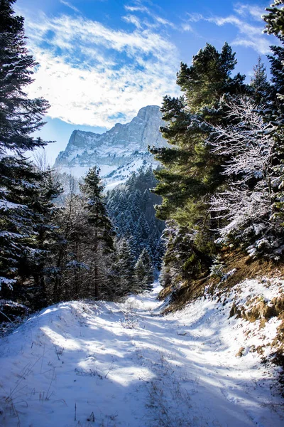 Alpler, dağ, Gress en vercors, Fransa
