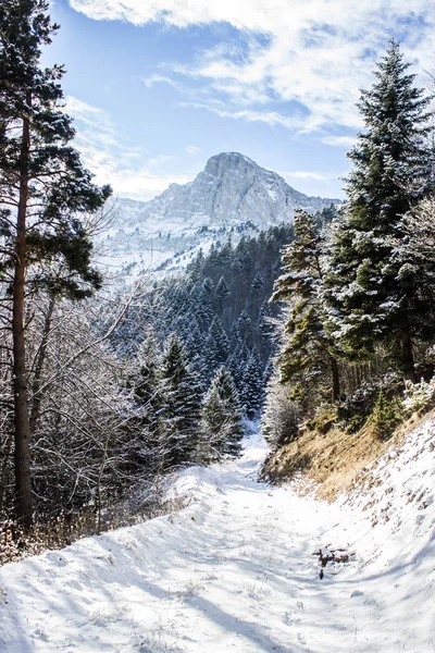 Alpler, dağ, Gress en vercors, Fransa