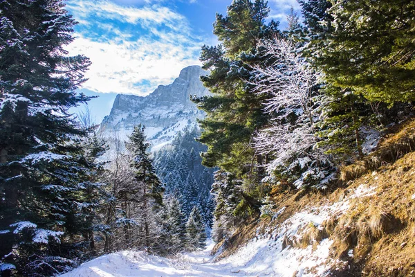 Alpler, dağ, Gress en vercors, Fransa