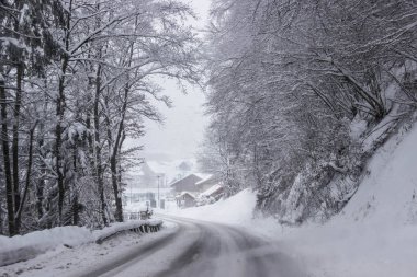 Alps, Gresse en Vercors, France