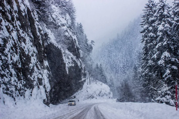 Alps, Gresse en Vercors, France
