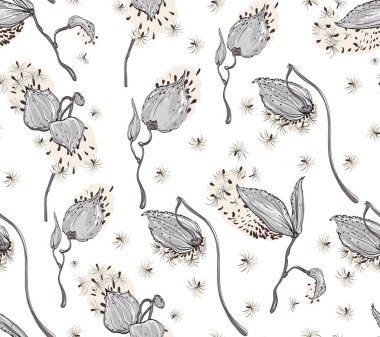 Seamless pattern Vector floral design with asclepias syriaca on white background clipart