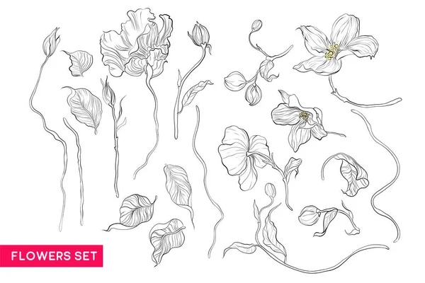 Elma çiçeği ve Eustoma çiçekleri. Botanik. Hazır ol. Klasik çiçekler. Kabartma biçiminde siyah ve beyaz çizimler.