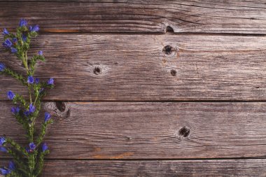 Rustik, ahşap arka plan tarafında alan çiçek