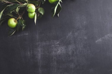Elma yaprak üzerine tahta arka plan ile