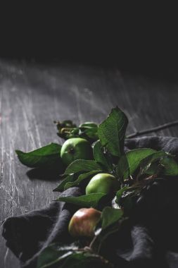 Elma dalda bir siyah peçete rustik, ahşap tablo