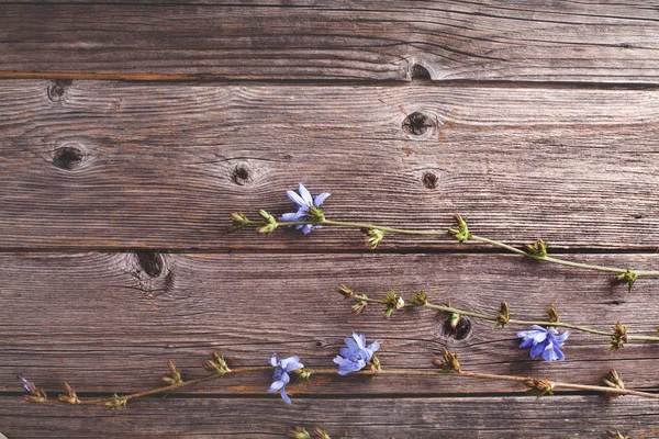 Ahşap arka plan üzerinde bir alt mor çiçekler