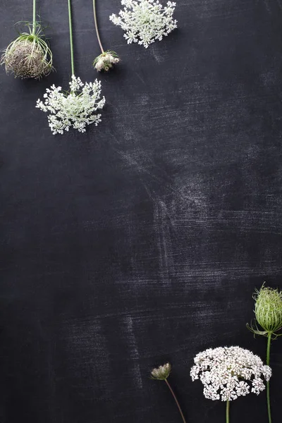 Tahta, dikey güzel alan çiçekler