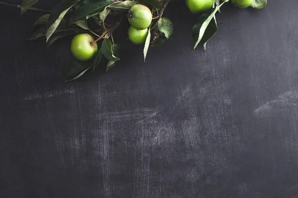 Elma yaprak üzerine tahta arka plan ile