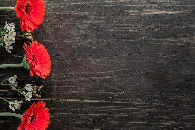 Vintage, siyah tablo kenarında kırmızı ve beyaz çiçekler