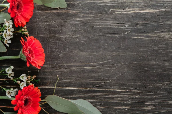Biało -czerwone kwiaty z eukaliptusa boku vintage, bl — Zdjęcie stockowe