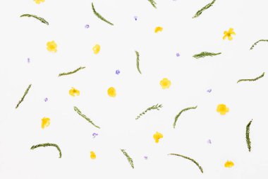 Modeli gelen yeşil yaprakları, sarı ve mor çiçekler üzerinde beyaz ba