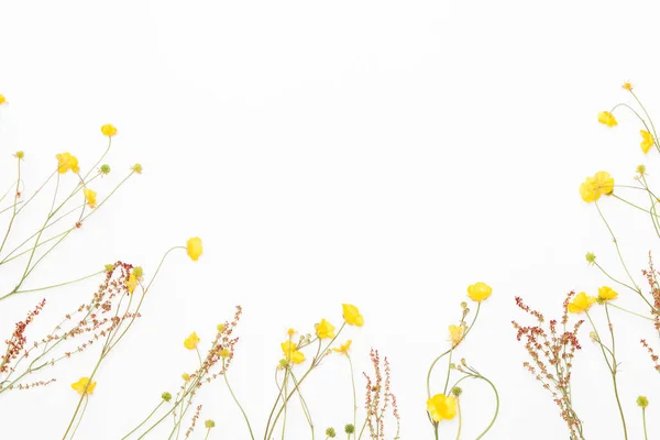 Żółtym polu jaskry z innych roślin łąka na spodzie — Zdjęcie stockowe