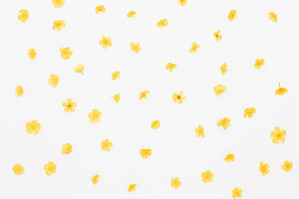 Field buttercups pattern on white background, flat lay — Stock Photo, Image