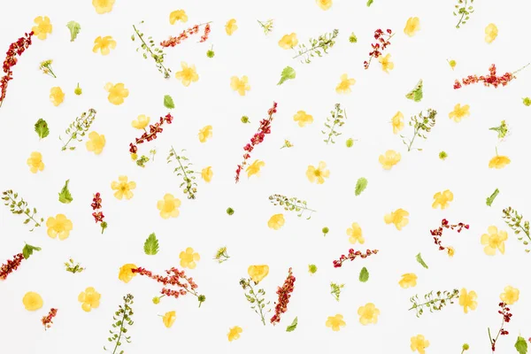 Πεδίο buttercups με πράσινα φύλλα και μοβ άνθη μοτίβο — Φωτογραφία Αρχείου