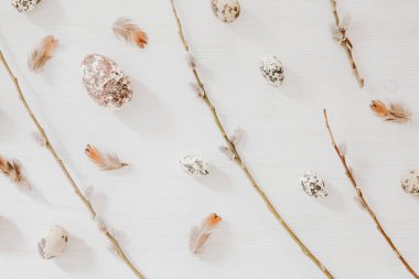 Paskalya, Bahar kavramı kabarık willow, yumurta ve tüyleri ile. FL