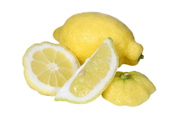 Citron frais et tranches sur fond blanc — Photo