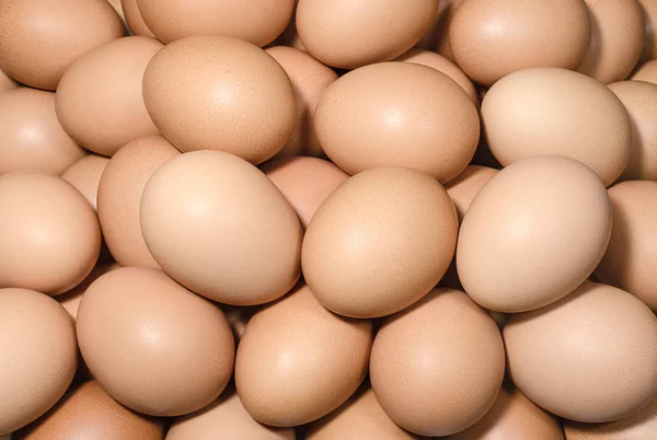 Коричневые куриные яйца — стоковое фото