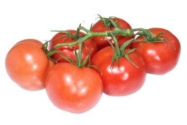 Beyaz arka plan üzerinde izole olgun domates demet