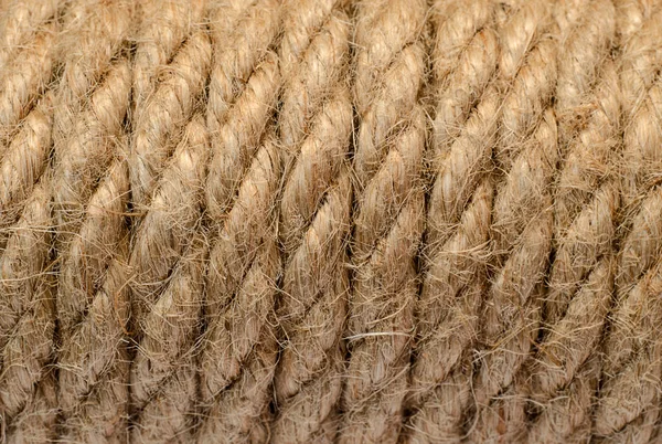 นหล งของเช อกก ญชา Closeup — ภาพถ่ายสต็อก