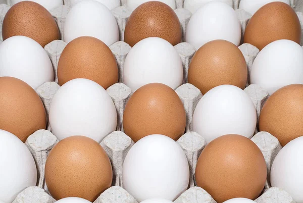Коричневые Белые Куриные Яйца Лотке — стоковое фото