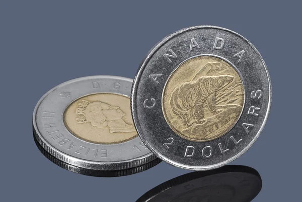 Канадських Доларів Дві Монети Темно Сірий Фон — стокове фото