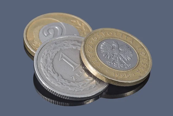 暗い背景にポーランド ズウォティのコイン — ストック写真