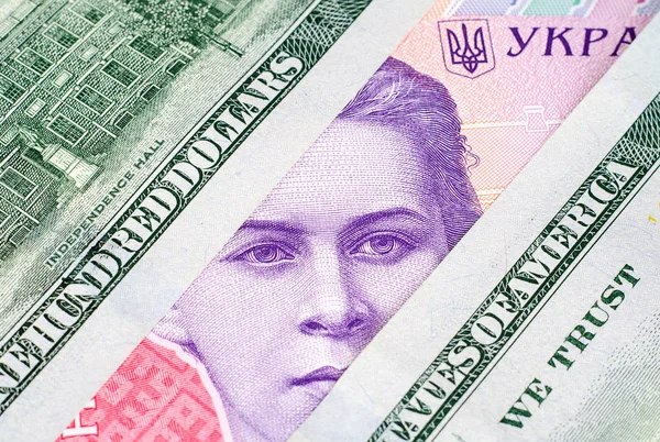 Banknot hryvnia ve Doları closeup parçaları
