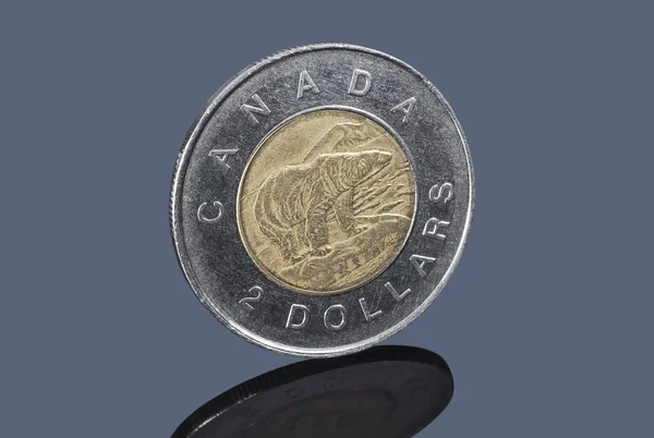 Pièce Deux Dollars Canadienne Sur Fond Sombre — Photo