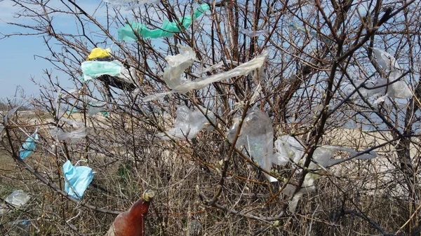 Face masks and plastic debris on branches of trees. Coronavirus (COVID-19) is contributing to pollution, as discarded face masks clutter urban parks & streets of the city along with plastic trash. Kuyalnik Estuary, Odessa Oblast, Ukraine