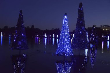 Süslenmiş Noel köknar ağaçları Orlando