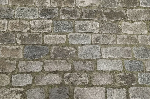 Old grey stone pavement background texture — Stock Photo, Image