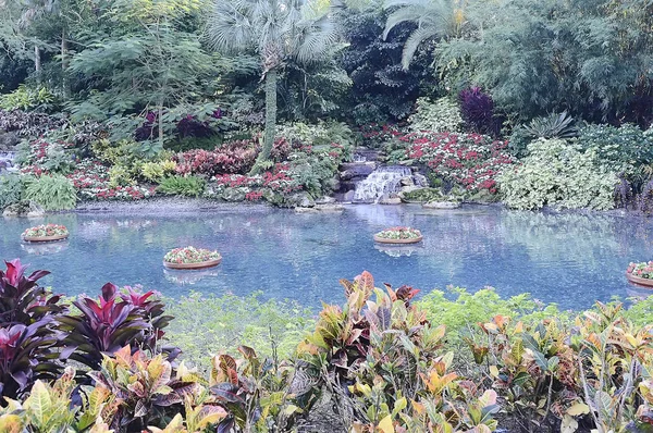 美しい明るいエキゾチックな熱帯色鮮やかな庭園 — ストック写真