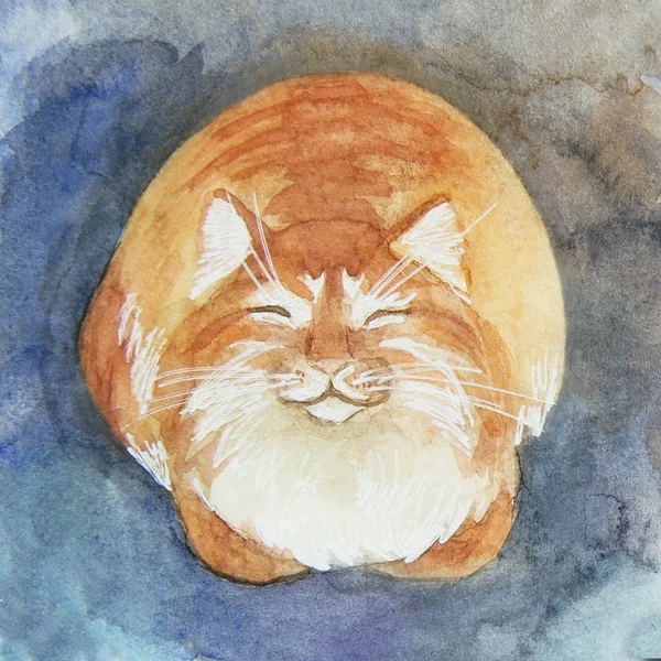 Акварель милий щасливий червоний кіт — стокове фото