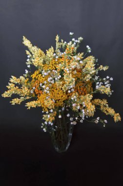 Güzel yaz vahşi çayır buket