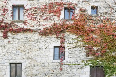 Riga Merkezi eski evde