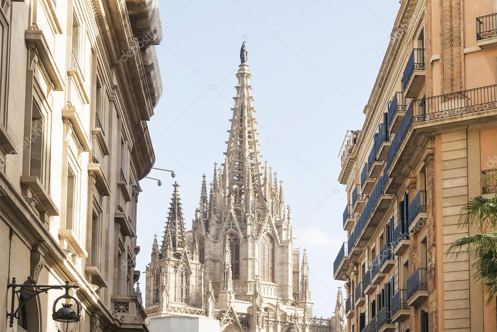 Gothic cathedral in sunset light, Barcelona