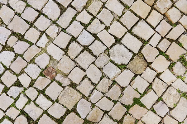 Velho fundo pavimento de pedra bege — Fotografia de Stock