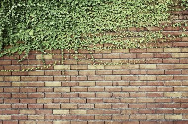 Eski kırmızı tuğla duvar arkaplan dokusu