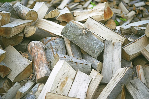 Logs on the ground — Stock Photo, Image