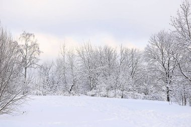 Moskova ormanında kış akşamı