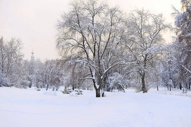 Moskova ormanında kış günbatımı
