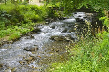 Ukrayna 'daki güzel dağ manzarası