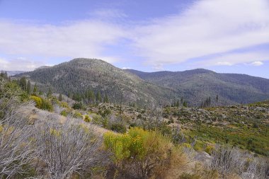 California 'daki Yosemite Ulusal Park Vadisi