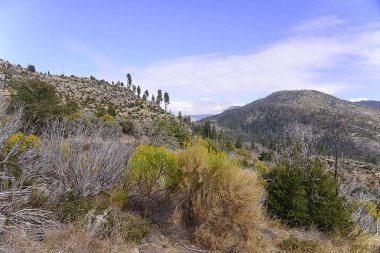 California 'daki Yosemite Ulusal Park Vadisi
