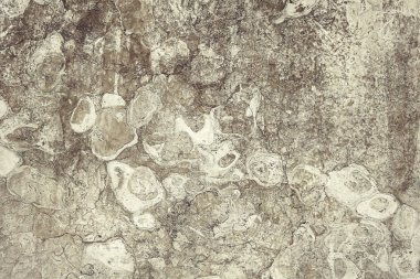 Gri granit duvar arka plan dokusu