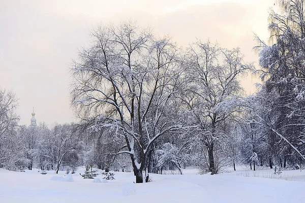 Wintersonnenuntergang im Moskauer Wald — Stockfoto